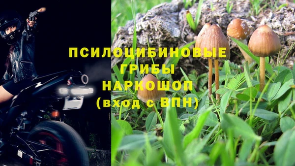 стафф Бородино