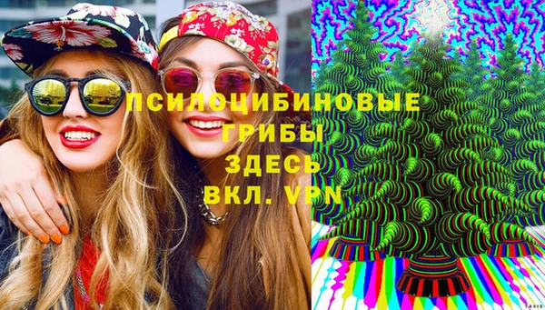 бошки Бугульма