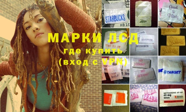 стафф Бородино