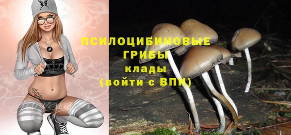 стафф Бородино