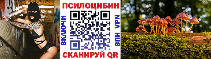 Галлюциногенные грибы Cubensis  Купить закладки  Гаврилов-Ям 